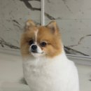 포즈티브 이미지