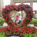 홍천 레인보우 이미지