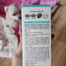 펫 목욕하는날 이미지