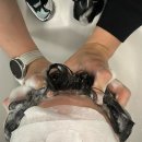(봉천역) 르미에르헤어, 르미에르헤어 태현 원장님, 두피스케일링&커트 강추 후기