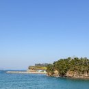 스위트펫 이미지