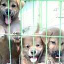 센텀동물메디컬센터 이미지