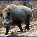 일화농장 이미지