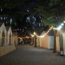 초원 숲속 야영장 이미지