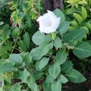 베르데약국 이미지