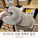 양재 코스트코 12월 첫째주 할인 세일 추천상품 커클랜드어그 캐나다구스 딸기