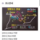 웃뜨르빛센터 | 2025 청수리 반딧불이 축제 후기! 꿀팁 공유 6월 제주 여행 필수 코스