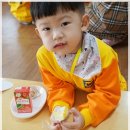 환타랜드숲유치원 이미지