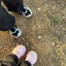 (주)서평택총판 | 평택 폴디드 오픈런 후기 | 꿀팁 | 내돈내산 추천 | 웨이팅