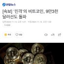 '진격'의 비트코인, 9만3천 달러선도 돌파 이미지