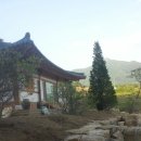 리안도예