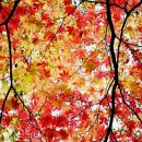 소리길121 이미지