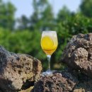 현주네농장 이미지