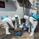 기동반-50 이미지