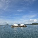 거금해양낚시공원 | 이색여행 고흥 거금해양낚시공원🐟🎣 1박 2일 고흥여행/고흥맛집