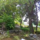 홍련봉공원 이미지