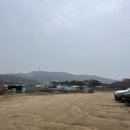 더존비앤씨티(강아지숲)/카페 여름 | 인천 영종도 디저트카페 빌리앤오티스 트리 포토존 제대로다 🎄