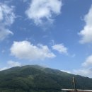 (주)토마토렌트카 이미지