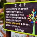 진안 메타세콰이어길 여행 후기 초록 터널 속을 달리는 여름 직전의 가장 싱그러운 드라이브