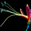 예술로3R 이미지