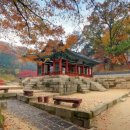 영화당 - 중구 학성로 116 | 영화당