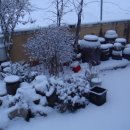 녹색농심인삼마을 이미지