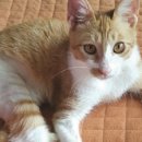 대한병원 화장실 이미지