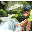 조무락계곡 이미지