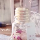 땡스안나