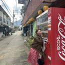 황산여관 | 후쿠오카 벳푸 온천여행 , 지옥온천 순례