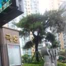 극동할인마트