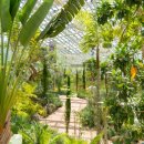 일월수목원전시온실 이미지