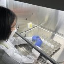 충청북도동물위생시험소 이미지