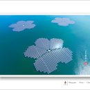 매화 태양광발전소 이미지