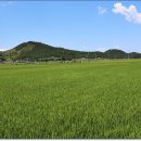 송지면사무소 이미지