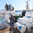 만선을 기원하며 이미지