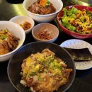 숲길 강아지 이미지