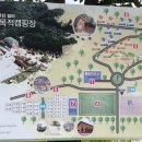 연인산캠핑장 다목적운동장 이미지