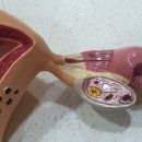 이정례의원 이미지