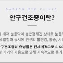 새봄안과