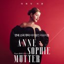 대전 1778 대전일보