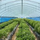 완주농장 이미지