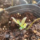 동기목장 이미지