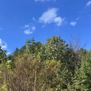 팔미농장 이미지