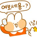 샐러브리 이미지