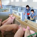 청해농장 이미지