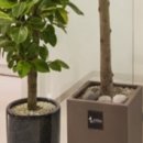 동래봄산부인과의원 이미지