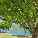 대청마루 | 남양주 북한강 뷰 카페 브리끄 후기 + 대청마루 한식 맛집 드라이브 코스 추천