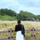 유수지공원 앞 | 대구 대명유수지 억새와 갈대 10월의 도심속 가을 정원 산책