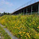 중앙소방학교 - 공주시 | 중앙소방학교
